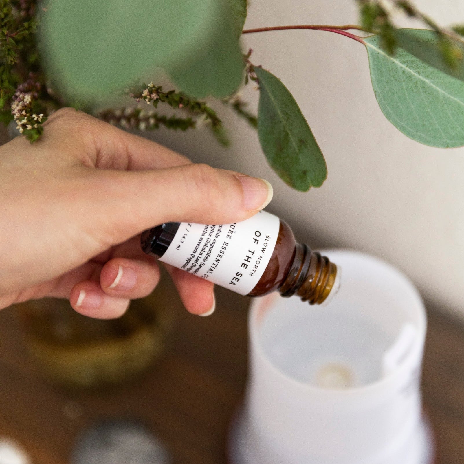 Essential Oil Diffuser Blends for Aromatherapy